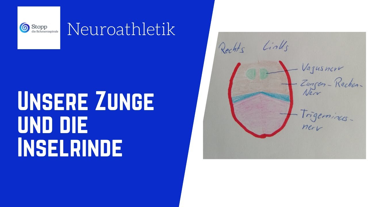 Neuroathletik - Der Einfluss der Zunge auf zB. das Krafttraining