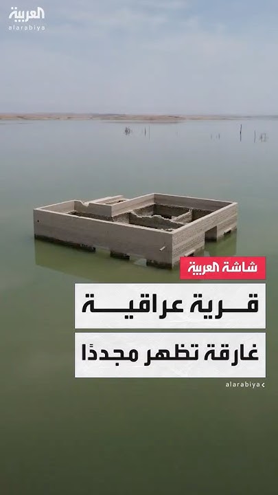    ..           
 - نشر قبل 15 دقيقة