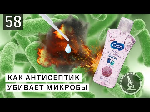 Видео: Водка убивает микробы на поверхностях?