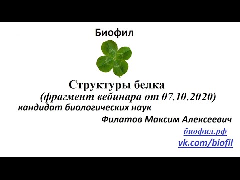 Пептиды, полипептиды, белки. Структуры белка: первичная, вторичная, третичная, четвертичная. ЕГЭ.