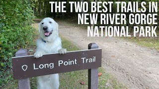 The Two Best Hikes in New River Gorge National Park // West Virginia [EP 98]