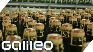 1 Milliarde Euro Umsatz! So rettete sich Rotkäppchen-Sekt vor der Pleite | Galileo | ProSieben