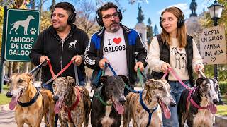 ESTÁ TODO INVENTADO | Galgos, Milei y Lilia Lemoine