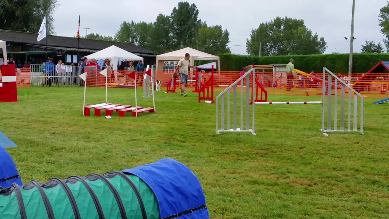 NOYTCB Mr Freeze - Kai - Agility Ter Schelde 17-09