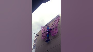 Butterfly 🦋 Effect @Prague, Czech Republic - by artist David Černý