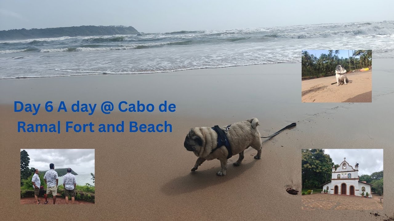 Goa Road Trip Vlog Day 6| Cabo De Rama Fort, Pebble Beach Trek & Pet-Friendly Kayaking | Tata Safari