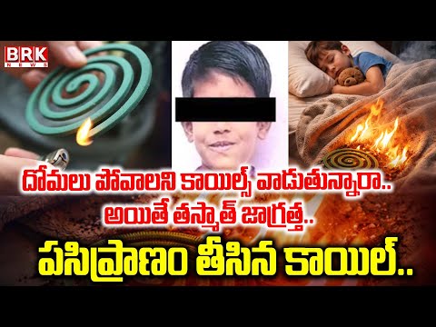 Mosquito: కాయిల్ నిర్లక్ష్యం తీసిన పసిప్రాణం | Mosquito Coil Negligence | NTR District | BRK NEWS - TV9