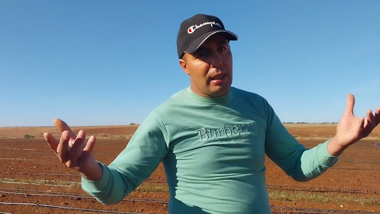 22 septembre 2023  إرشدات ونصائح فلاحية مهم جدا ركزوا معي مزيان كيفيه إنتاج البطاطس الشتوية سمعوا؟