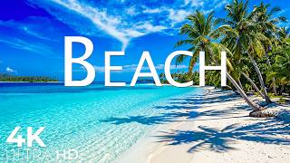 Tropical Beach 4K Relaxation Film - Relaxing Piano Music - Natural Landscape