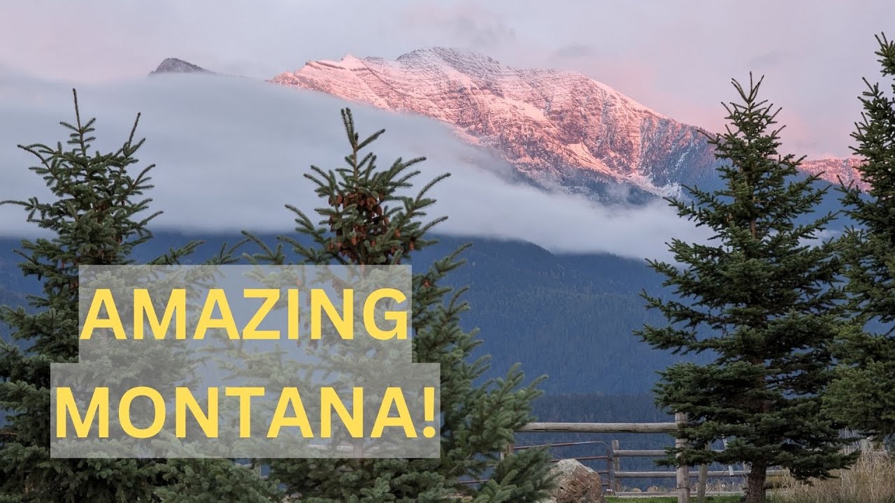 Carnivore While Traveling? Amazing Montana! YouTube