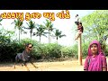      ranajit comedy  gujarati comedy  full comedy