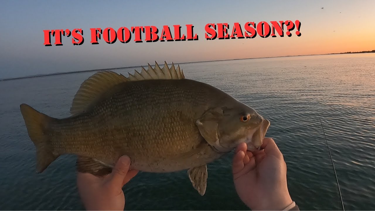 Chasing Big Prespawn Smallmouth Bass (Ontario)