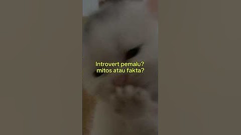 Introvert pemalu? Mitos atau fakta?  #shorts #motivation