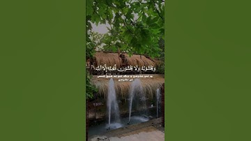 سورة الأحزاب-آيه 39💚 #quran #explore #nature #tafsir
