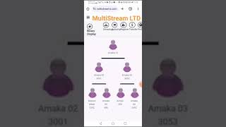 How To Use Your Multistream Tm LTD Website screenshot 2