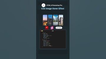 CSS Image Hover Effect #coding #shorts #shortvideo #short #viralvideo