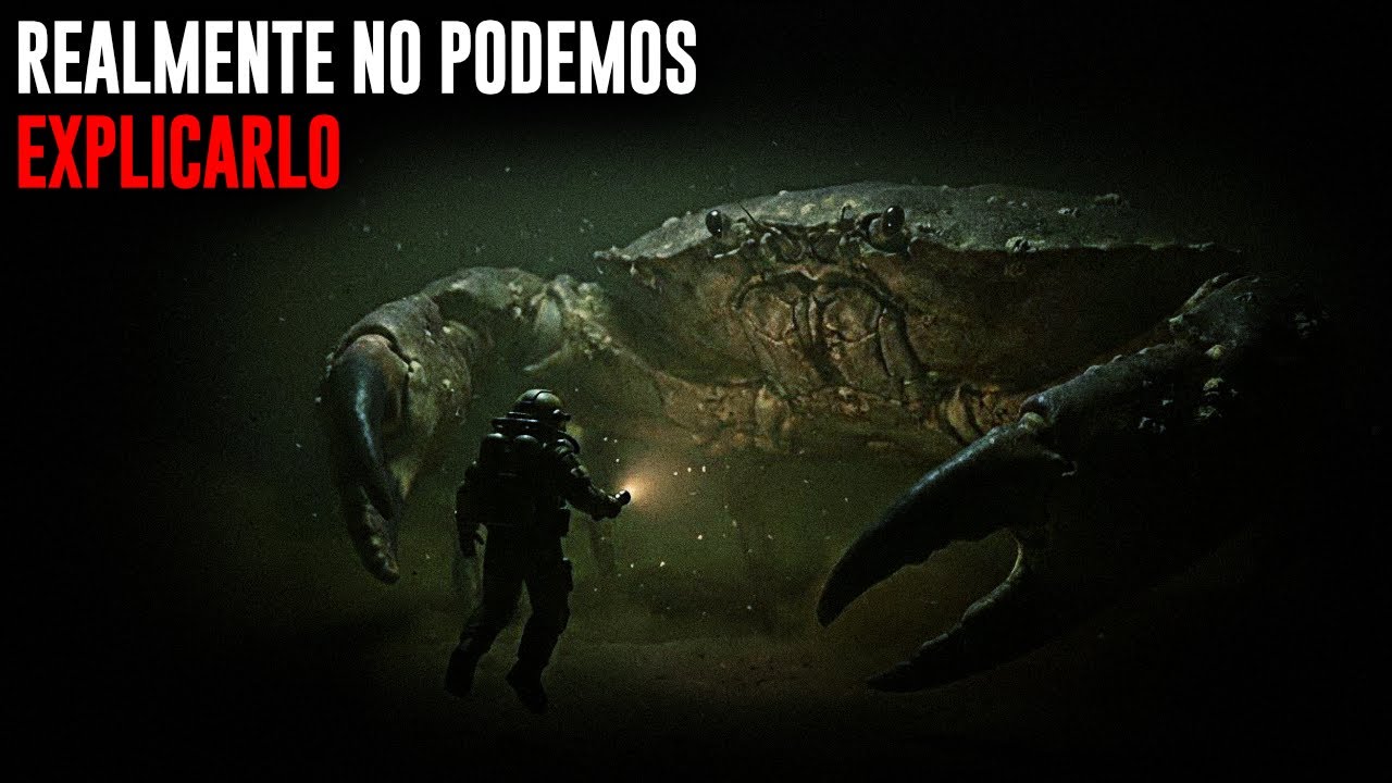 ¿Por qué los CANGREJOS del Mar de BERING son tan Gigantes cuanto Mayor la Profundidad?