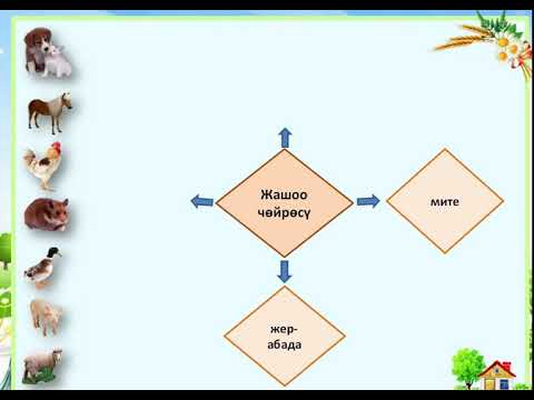 Video: Eichornia (15 сүрөт): суу гиацинти деген эмне? Eichornia Varifolia аквариумда жана башка түрлөрдө. Кышында өсүмдүктү кантип сактоо керек? Отургузуу жана кетүү