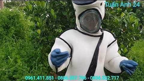 Quần áo bắt ong gấu trúc thoáng mát, siêu an toàn