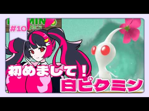 【＃PIKMIN4 】part10 初めまして！白ピクミン🌱🤍 メルナ/わがまま。