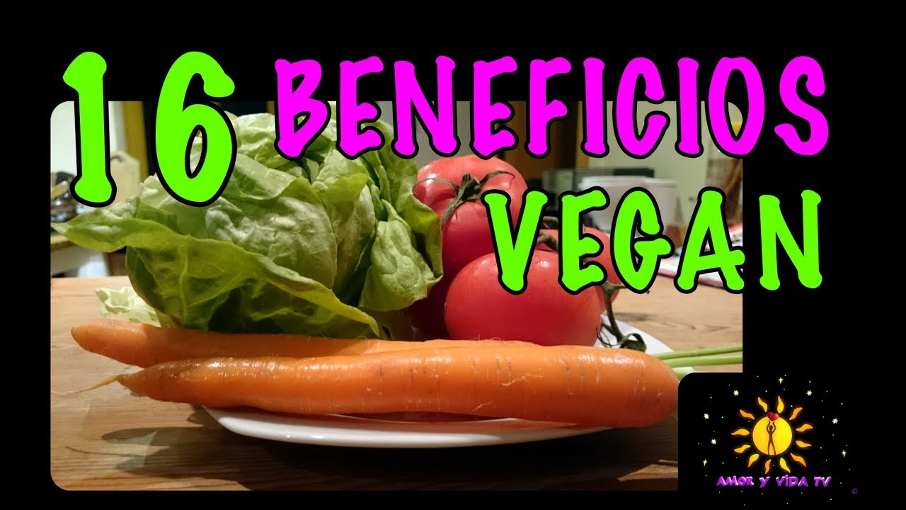 Ventajas y desventajas de la dieta vegetariana pdf