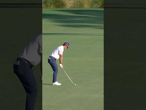 The Bear Trap redemption 🤲