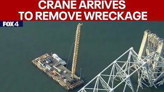 Baltimore bridge collapse cleanup begins