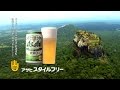 発泡酒【44杯目】アサヒ スタイルフリー