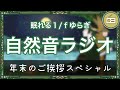 【眠くなる声】2021年もありがとうございました！！｜ねむりのもりラジオ【睡眠導入】