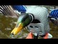 NEW PRODUCT: Introducing the MOJO King Mallard