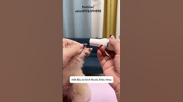 Tông đơ 4in1 đa năng và tiết kiệm #pet #cat #dog #ticipet #tongdochomeo #tongdo