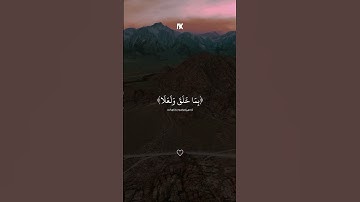 ياسر الدوسري  | سورة المؤمنون   أكتب شيء تؤجر عليه 🤍