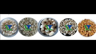 Automatic Grains Rice Corn Millet Quinoa Wheat Bucketwheat Jowar Puff Puffing Gun Machine System