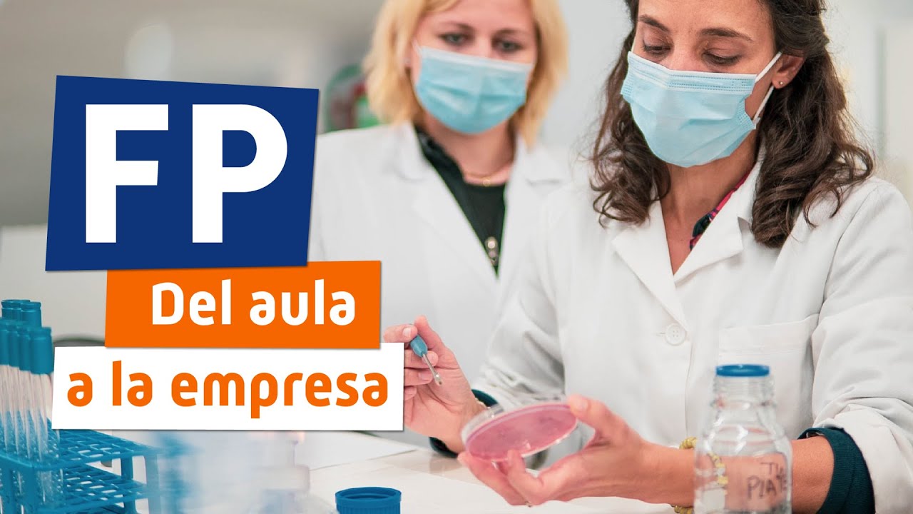 #FP del AULA a la EMPRESA NUEVA LEY FP 2021 📜 - YouTube