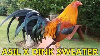 Asil Sweater Dink Kelso Grey RANCHO LA PALMA - Beautiful Birds