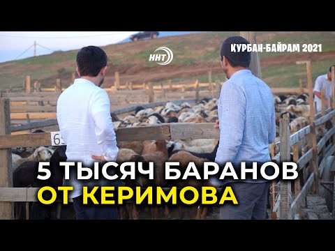 Video: Suleiman Kerimov: Senator, Oligark Dhe Filantrop Që Synon Të Transformojë Derbentin