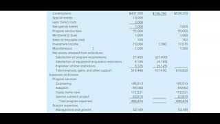 Famous Module 3 Connect Assignment - Nonprofit Financial Statements Profile