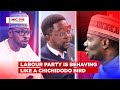 The Labour Party Is Behaving Like A Chichidodo Bird That Likes To Feed On Maggots - Kazim Afegbua