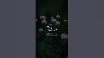 'ومـا يستوي الأحياء ولا الأموات- #صلاح_بو_خاطر- #سورة_فاطر #حالة_واتس #Explore  #راحه_نفسيه #english