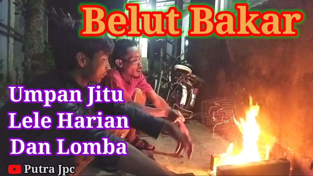 Terbukti!!Belut Bakar Umpan Jitu Lele Harian Dan Lomba