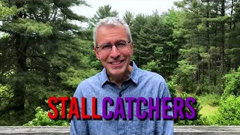 Stall Catchers