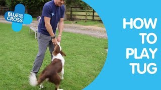 How To Play Tug With Your Dog | Dog Trainings Tips | Blue Cross
