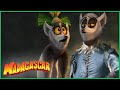 Saúdem Todos o Rei Julien | Show de Arte | Madagascar | Desenhos Animados
