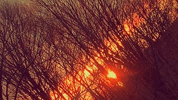 Fender Hellcat 12 string “Only in dreams “ by Bob Brown