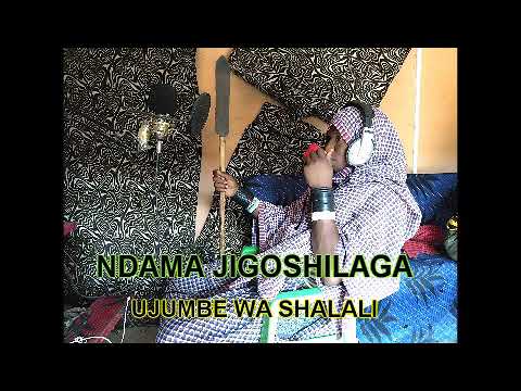 NDAMA JIGOSHILAGA UJUMBE WA SHALALI BY LWENGE STUDIO