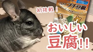 【チンチラ】美味しいおやつ、こしたてプチ豆腐に初挑戦