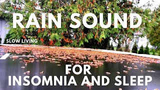 SLOW Rain Sound For Sleeping/Rain Sounds For Sleep And Insomnia/Weather Today In Norway