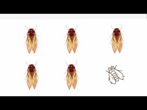 moderate 【IA】in the Summer 　オリジナル