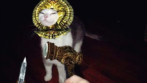 Mod Organizer 2 + OpenMW = A God