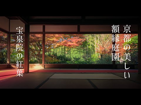 hqdefault.jpg